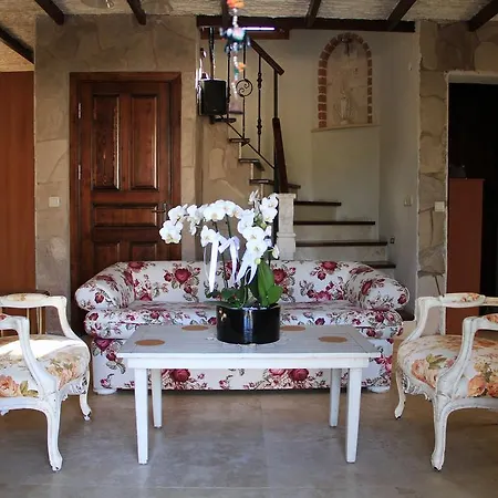 La Viva Alacati بيت ضيافة ألاتشاتي
